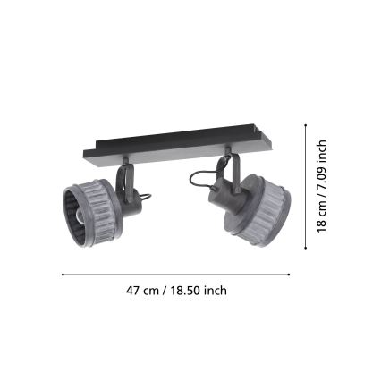 Eglo 43445 - Точечный светильник TURROCK 2xE27/28W/230V
