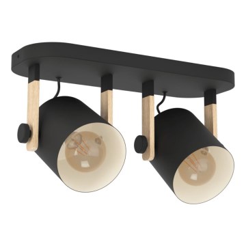 Eglo 43557 - Точечный светильник HORNWOOD 2xE27/28W/230V чёрный