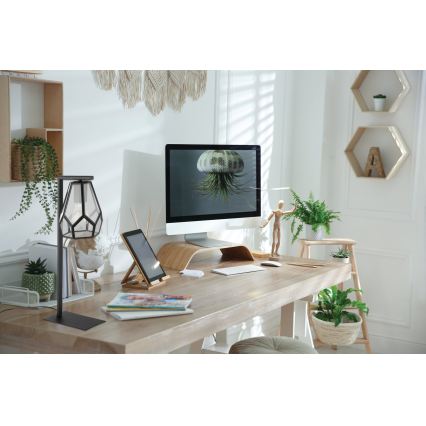 Eglo - Настільна лампа 1xE27/40W/230V