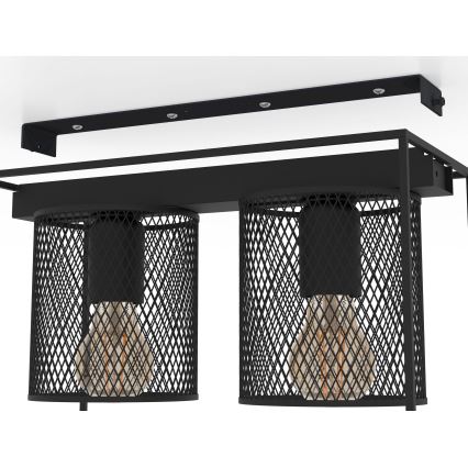 Eglo 43772 - Потолочный светильник CATTERICK 2xE27/40W/230V