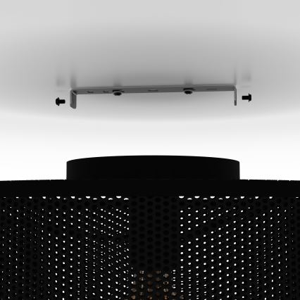 Eglo - Потолочный светильник 1xE27/40W/230V