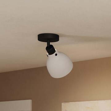 Eglo 43827 - Точковий світильник MATLOCK 1xE27/40W/230V