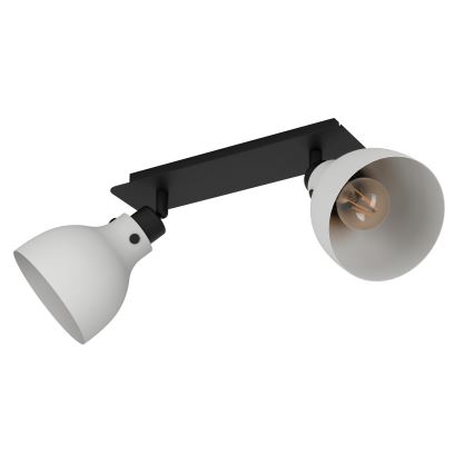 Eglo 43828 - Точечный светильник MATLOCK 2xE27/40W/230V