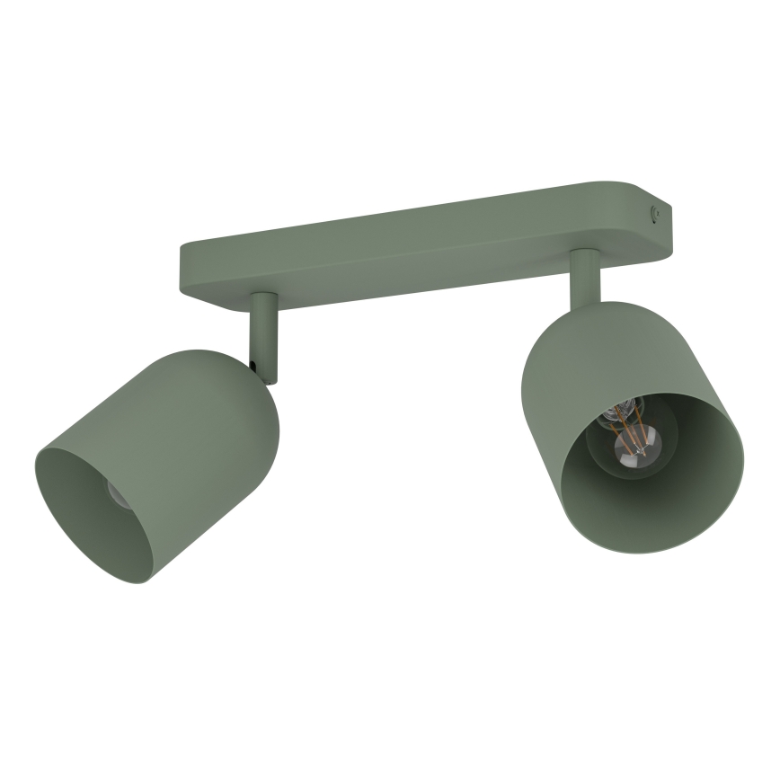 Eglo - Точковий світильник 2xE14/40W/230V зелений