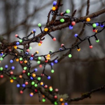 Eglo 472-53 - Вулична різдвяна LED гірлянда BERRY MINI 700xLED/8 функцій 14м кольорова IP44