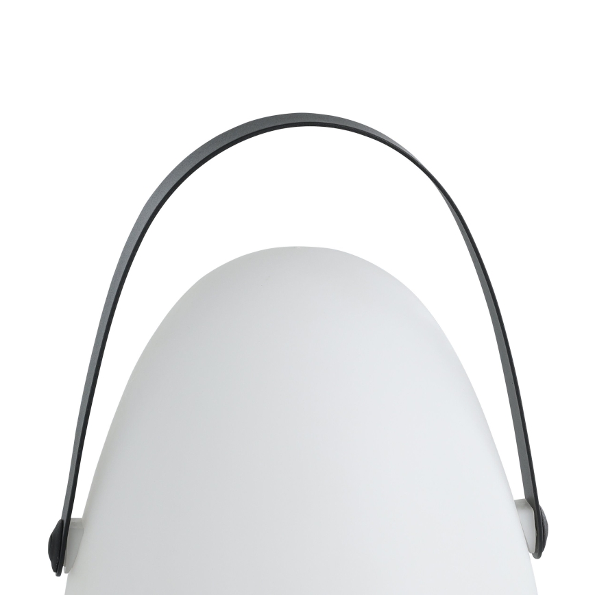 Eglo 48841 - LED Вулична настільна лампа COLLIRADOS LED/3xAA IP44