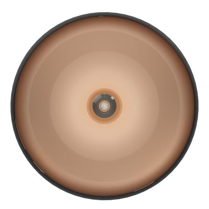 Eglo 55248 - Стельовий світильник MOGANO 1xE27/60W/230V чорний