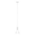 Eglo 62264 - Люстра на тросі PASCOA PRO 1xE27/60W/230V 16,8 см біла