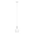 Eglo 62265 - Підвісна люстра PASCOA PRO 1xE27/60W/230V 15,6 см білий