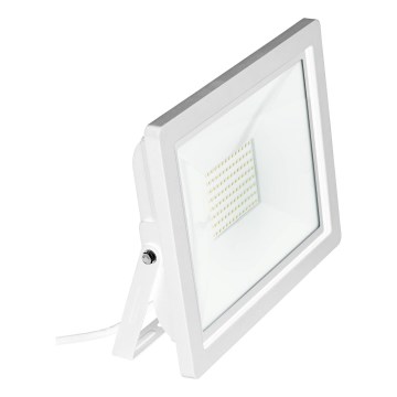 Eglo 64843 - Светодиодный прожектор FILETTI LED/50W/230V 3000K IP65 белый