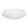 Eglo 68317 - Стельовий світильник для ванної кімнати ELLA PROJEKT 1xE27/20W/230V IP44, діаметр 30 см