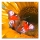 Eglo 75037 - Світлодіодна декоративна картина з підсвіткою BUTTERFLY 4xLED/0,02W