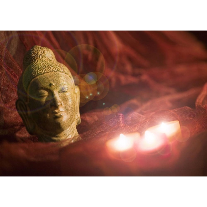Eglo 75039 - Светодиодная декоративная подсветка для картин BUDDHA 3xLED/0,02W/2xAA 30x45 см