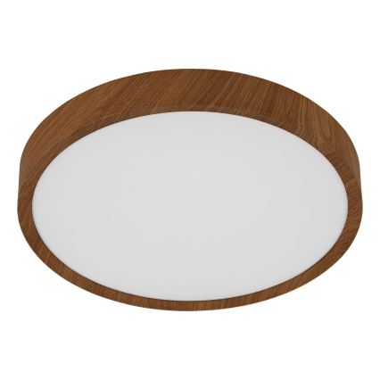 Eglo - Стельовий LED світильник LED/14,6W/230V