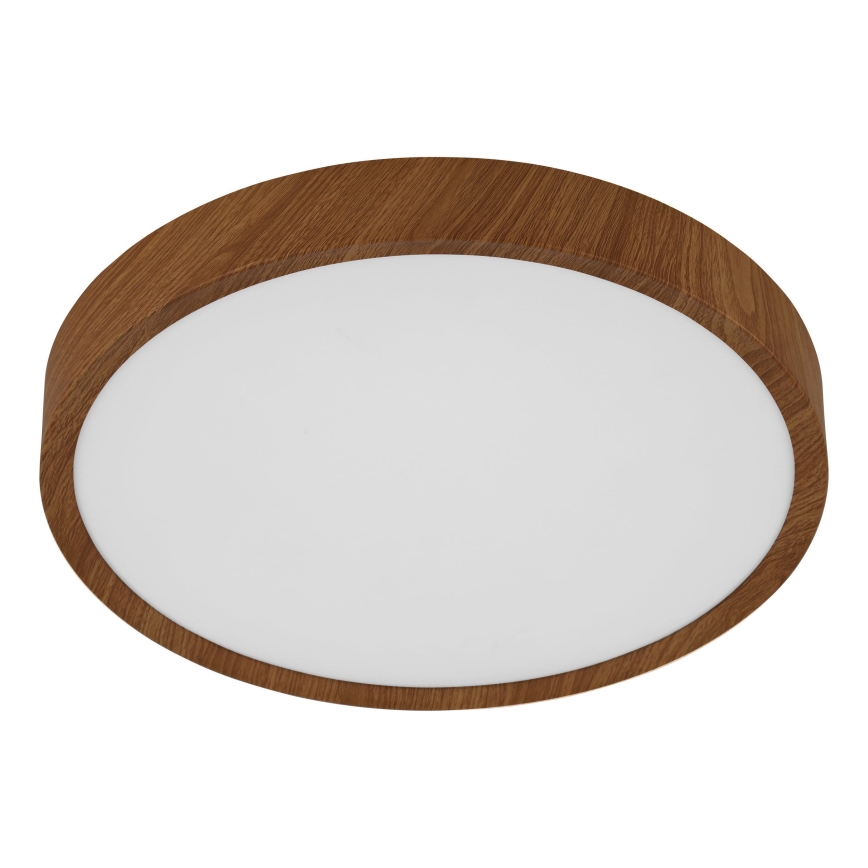 Eglo - Стельовий LED світильник LED/14,6W/230V