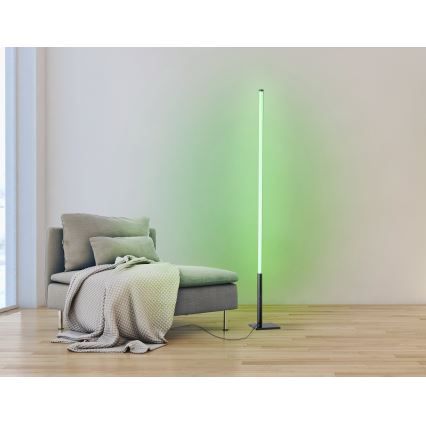 Eglo - LED RGB Торшер з регулюванням яскравості LED/13,5W/230V 2700-6500K + дистанційне керування