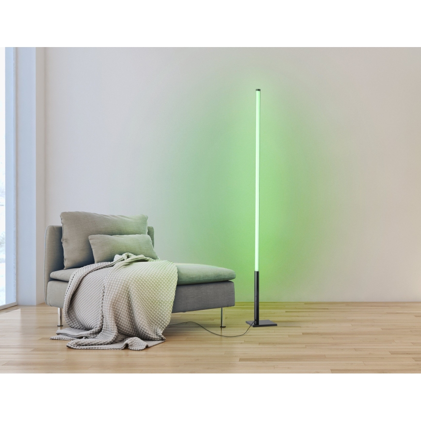 Eglo - LED RGB Торшер з регулюванням яскравості LED/13,5W/230V 2700-6500K + дистанційне керування