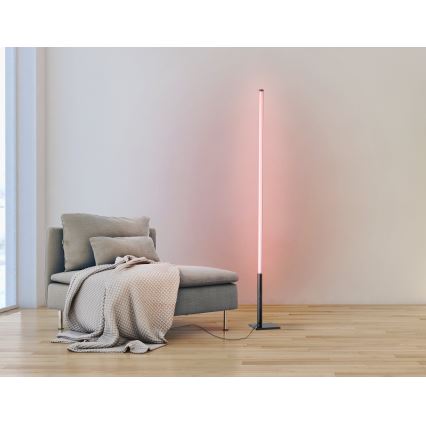 Eglo - LED RGB Торшер з регулюванням яскравості LED/13,5W/230V 2700-6500K + дистанційне керування