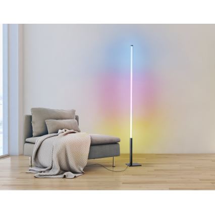 Eglo - LED RGB Торшер з регулюванням яскравості LED/13,5W/230V 2700-6500K + дистанційне керування