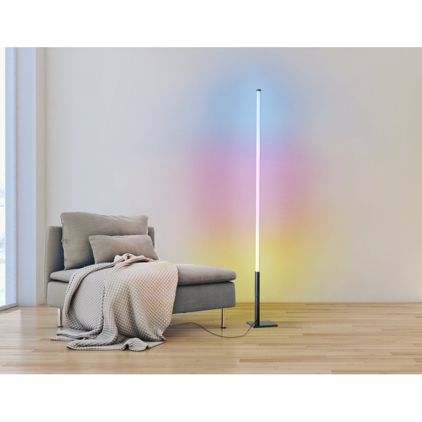 Eglo - LED RGB Торшер з регулюванням яскравості LED/13,5W/230V 2700-6500K + дистанційне керування