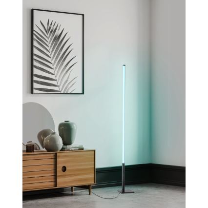 Eglo - LED RGB Торшер з регулюванням яскравості LED/13,5W/230V 2700-6500K + дистанційне керування
