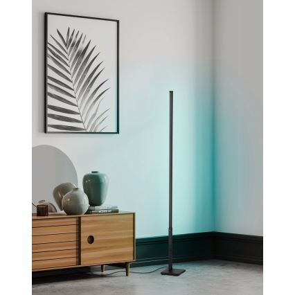 Eglo - LED RGB Торшер з регулюванням яскравості LED/13,5W/230V 2700-6500K + дистанційне керування