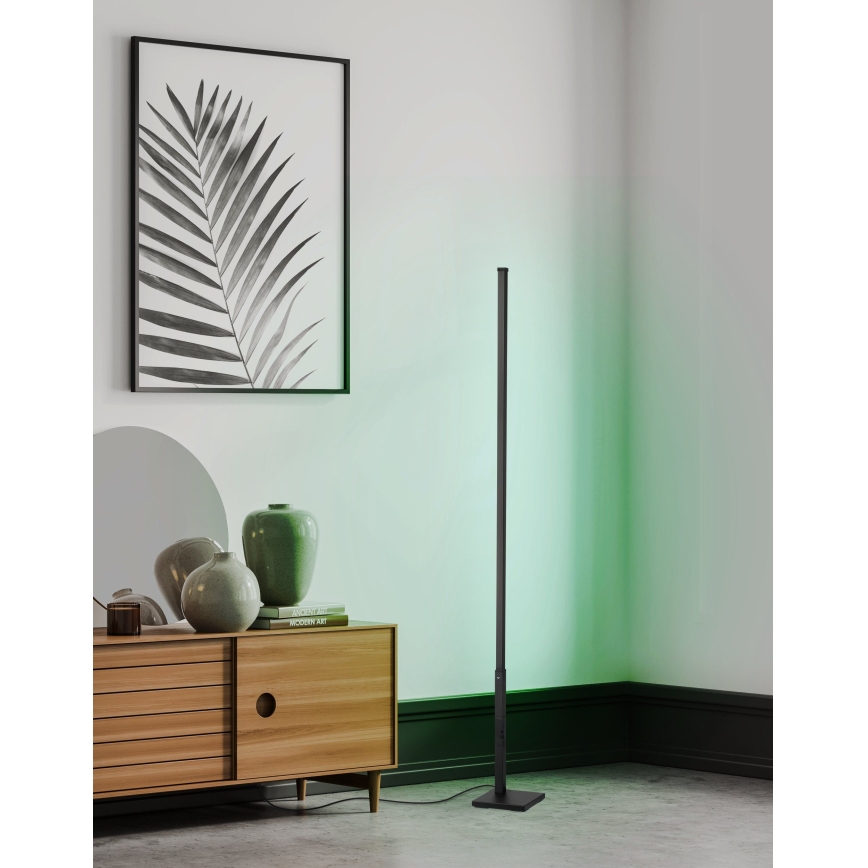 Eglo - LED RGB Торшер з регулюванням яскравості LED/13,5W/230V 2700-6500K + дистанційне керування