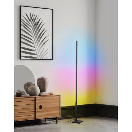 Eglo - LED RGB Торшер з регулюванням яскравості LED/13,5W/230V 2700-6500K + дистанційне керування