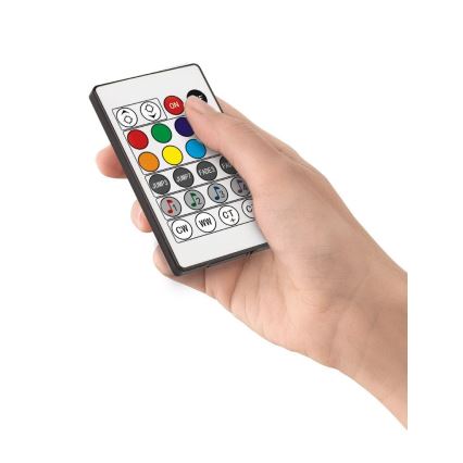 Eglo - LED RGB Торшер з регулюванням яскравості LED/13,5W/230V 2700-6500K + дистанційне керування