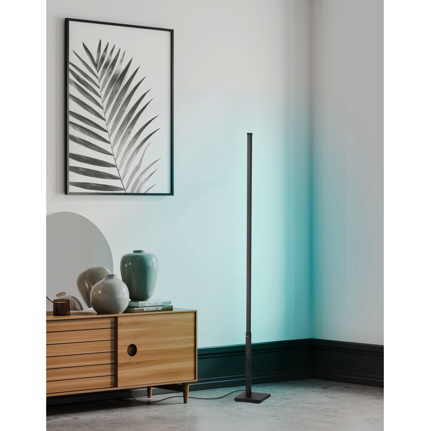 Eglo - Светодиодный RGB-торшер с регулированием яркости LED/13,5W/230V 2700-6500K + дистанционное управление