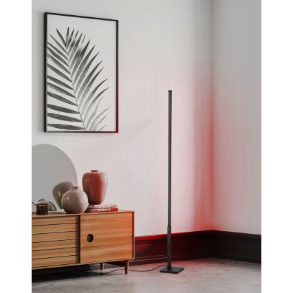 Eglo - Светодиодный RGB-торшер с регулированием яркости LED/13,5W/230V 2700-6500K + дистанционное управление