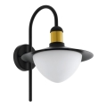 Eglo 79287 - Вуличний настінний світильник SIRMIONE 1xE27/60W/230V IP44