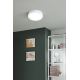 Eglo - Стельовий LED світильник для ванної з регулюванням яскравості LED/16,5W/230V 2700-6500K IP44 ZigBee