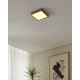 Eglo - Светодиодный светильник для ванной комнаты с регулированием яркости LED/16,5W/230V IP44 ZigBee
