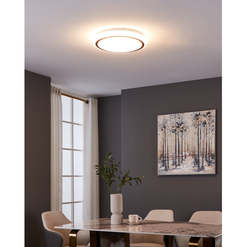 Eglo - Светодиодный потолочный светильник LED/14,6W/230V