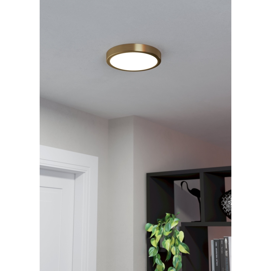 Eglo - Стельовий LED світильник LED/17W/230V діаметр 21 см