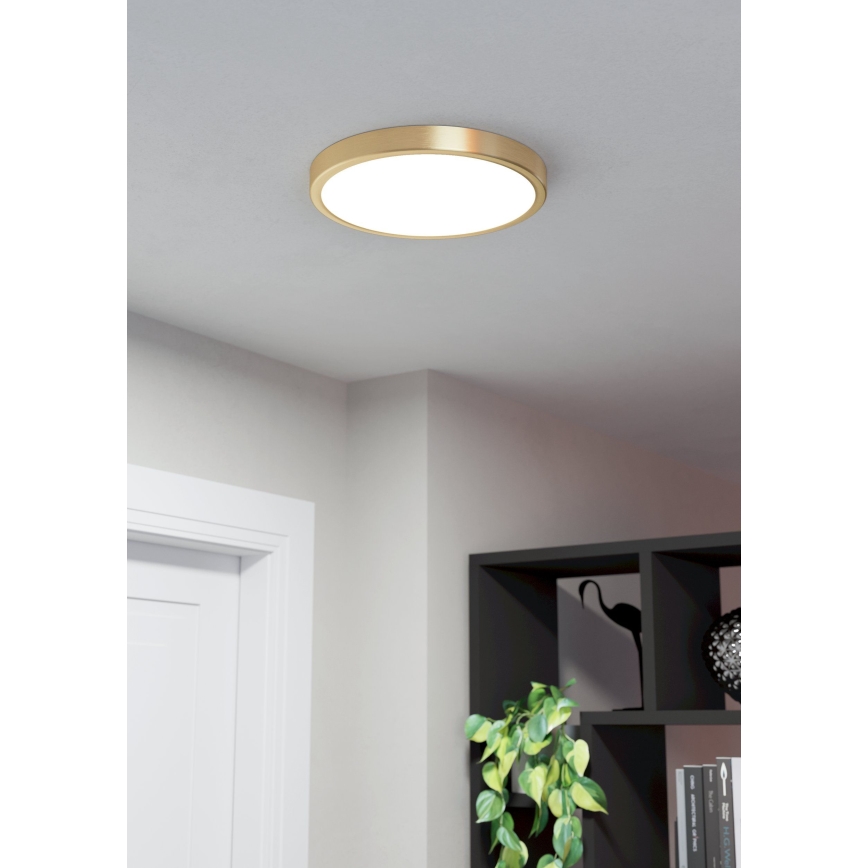 Eglo - Светодиодный потолочный светильник LED/20,5W/230V диаметр 28,5 см