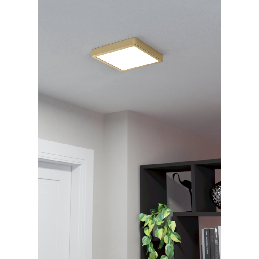 Eglo - Стельовий LED світильник LED/17W/230V