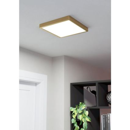 Eglo - Стельовий LED світильник LED/20,5W/230V