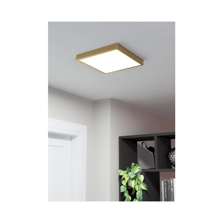 Eglo - Стельовий LED світильник LED/20,5W/230V