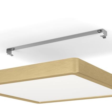 Eglo - Стельовий LED світильник LED/20,5W/230V