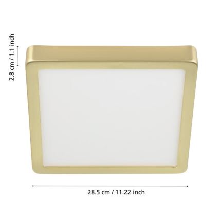 Eglo - Стельовий LED світильник LED/20,5W/230V