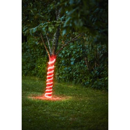 Eglo - Світлодіодна стрічка LED/96W/24V 5м IP44 червоний