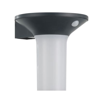 Eglo - LED наружный солнечный светильник с датчиком 6xLED/0,03W/3,7V IP44