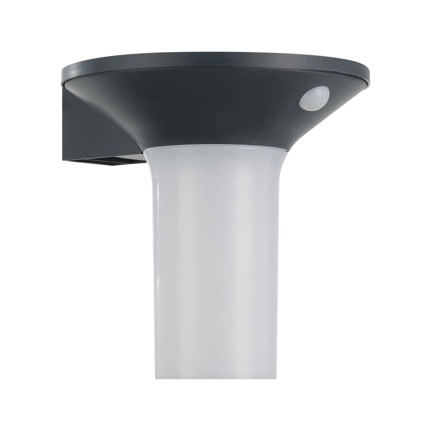 Eglo - LED наружный солнечный светильник с датчиком 6xLED/0,03W/3,7V IP44