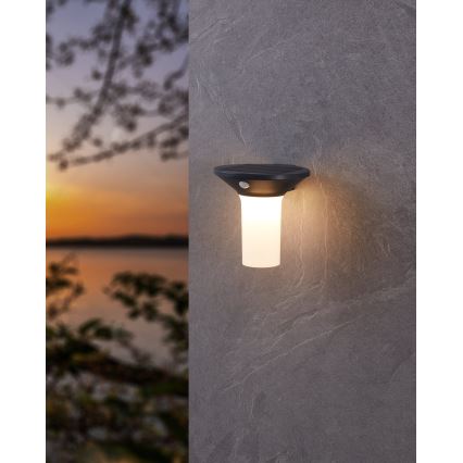 Eglo - LED наружный солнечный светильник с датчиком 6xLED/0,03W/3,7V IP44