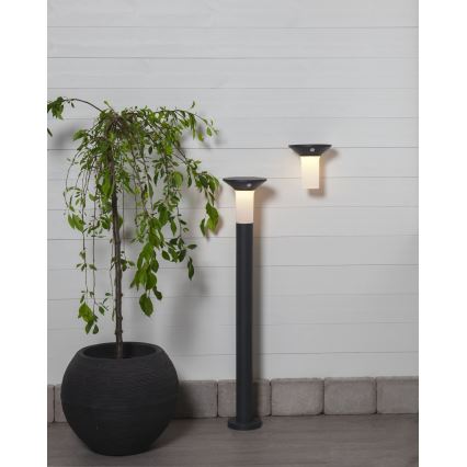 Eglo - Светодиодная уличная лампа на солнечной батарее с датчиком 6xLED/0,03W/3,7V IP44
