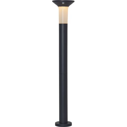 Eglo - Вулична LED лампа на сонячній батареї з датчиком 6xLED/0,03W/3,7V IP44