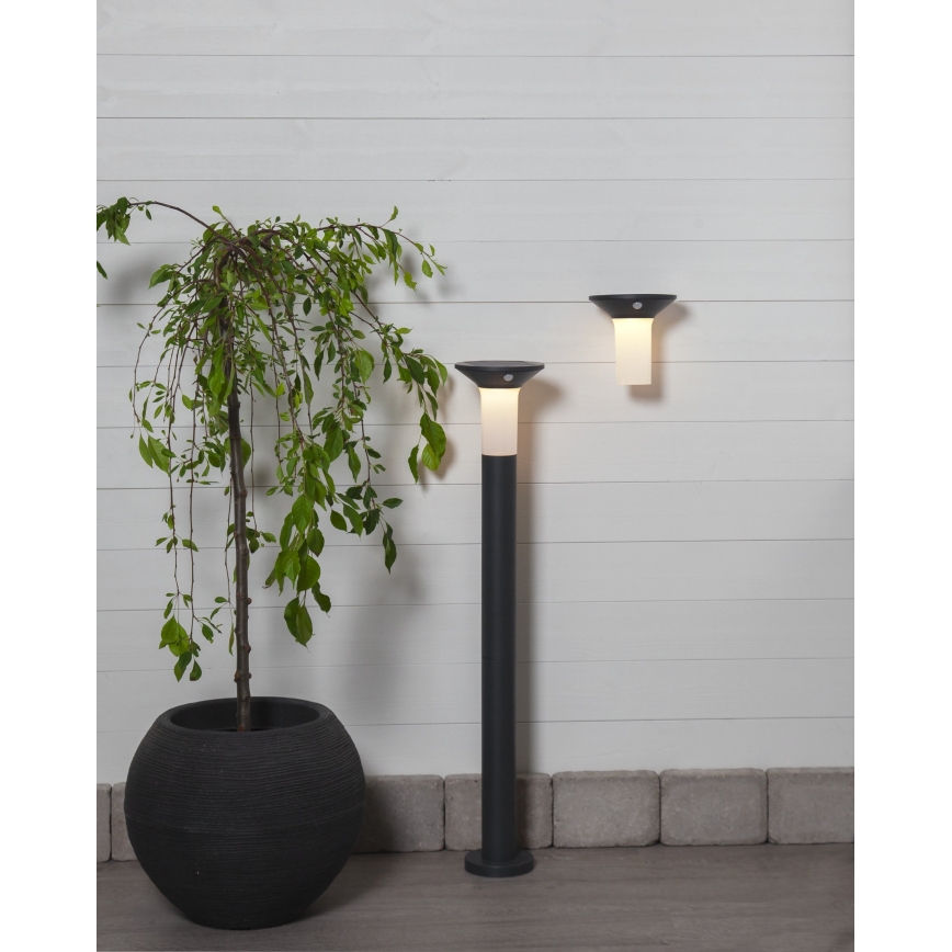 Eglo - Вулична LED лампа на сонячній батареї з датчиком 6xLED/0,03W/3,7V IP44