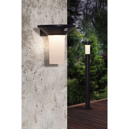 Eglo - Вулична LED лампа на сонячній батареї з датчиком 6xLED/0,03W/3,7V IP44